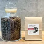 エチオピア イルガチェフェ ハロ ベリティ G1(ナチュラル)(100g+デリバリー限定10%増量)(Ammonite Coffee Market 早稲田)