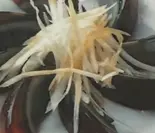 ピータン（本格中華料理 東盛軒）