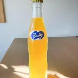 バヤリースオレンジ（シビレサス）