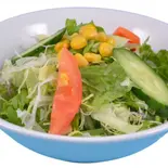グリーンサラダ Green Salad（ナマステナンガルNamaste Nanghar）