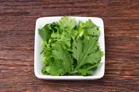 ⑧パクチー Cilantro(麺人 雲林坊 門前仲町店)