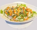 タンドリーチキンサラダ Tandoori Chicken Salad（ニューマリカ 糀谷店）
