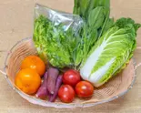八百屋の旬野菜盛り合わせ(5〜7品) Yaoya Seasonal Vegetable Assortment (4~6 Items)(八百屋&Cafe はっぴ〜べじたぶる)