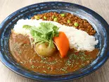 麻辣キーマ＆スパイスあいがけカレー（カレー食堂「心」西新宿店）