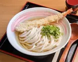 大きな海老の天ぷらうどん(四國うどん 河北本店)