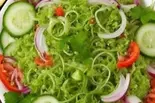 グリーンサラダ Green salad(ネパールキッチン グリッシュカレーハウス)
