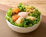 野菜たっぷり10種類のナムルビビンバ（野菜食人ビビンバ専門店 大久保本店）