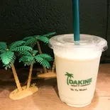 ココナッツシェイク Coconut Shake(DAKINE spam&sandwich)