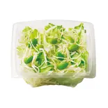 たっぷりグリーンサラダ(和風ドレッシング)（ほっともっと 箱崎1丁目店）