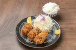 ひれかつ弁当（とんかつ檍 いっぺこっぺ市ヶ谷店）