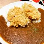 ヒレかつカレー弁当(天野精肉店直営 甲州天山)