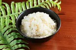 もち麦入ご飯（SPOOL）