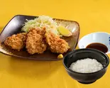 ひれかつ弁当（ゆめあん食堂 調布駅北口店）