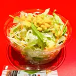 サラダ(ドレッシンング有)（STEAK HOUSE BRASE〜べラス〜）