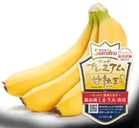 単品 甘熟王ゴールドプレミアムバナナ 1房(まずは、アイス)