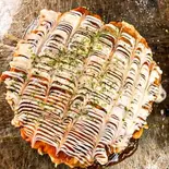 イカ玉(お好み焼き・鉄板焼きのはらだ)