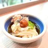 梅とろろぶっかけ(冷) ※紀州南高梅使用（本格手打もり家東京店）