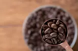 マンデリン100g(インドネシア産)（Beans ＆ Beans ぽえむ）