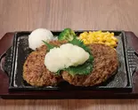 F-1111】和風おろしハンバーグステーキJapanese-style hamburg steak (Soybased grated radish sauce)（ハンバーグ＆バーガー TERU 博多駅前通り店）