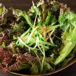 チョレギサラダ（焼肉 酒月）