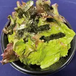 チョレギサラダ（焼肉ホルモン まるよし精肉店 都島店）