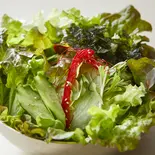 チョレギサラダ（炭火焼肉たけのうち本店）