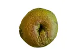 抹茶あん（Gluten-Free Bagels ＆ Salad efu）