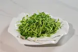 豆苗炒め(香港飲茶 本格中華 望水楼)
