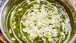 サグパニールカレーSag Paneer Curry(スワガット)