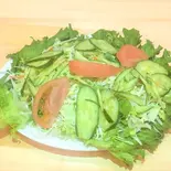 グリーンサラダ GreenSalad（インド＆ネパール料理 インドカレー パナス）