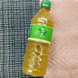 生茶  500ml（グリーンパーク）