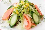 グリーンサラダ(Green salad)（インド ネパール料理 SIDDARTHA谷町店）