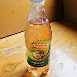 ジンジャエール 500ml（鳥八 下丸子店）