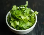 追いパクチー（SLOWJAM GARAGE singaporean cuisine）