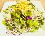 グリーンサラダ Green Salada(インド料理 ジャナキ 秦町店)