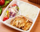 チキンケバブ弁当 Chicken Kebab Bento（ウスキュダル ケバブ）
