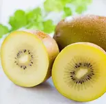 カットゴールデンキウイ(一玉)(おばんざいときしめん鯱)