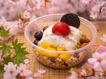 雪見アサイーボウル Snow-viewing Acai Bowl 유키미 아사이 그릇（アサイーボウル＆ヨーグルトアイス専門店）