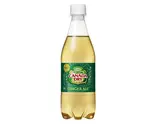 カナダドライジンジャーエール 진저엘 Canada Dry Ginger Ale（チキンなら）
