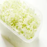 キャベツの千切り（鶏笑下赤塚店）