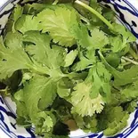 パクチー 単品（ASIAN MARKET STANLEY）