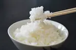 プーレンライス Plain Rice（『新規オープン！！』足立区大人気インドカレー店）
