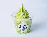 抹茶ミルクソフト(クレープ&ソフトクリーム バオバオ)