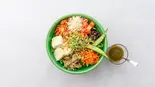 【1番人気】発酵腸活（The Stork Vegan）