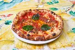 【PZ-13】マリナーラ トラディツィオナーレ（タランテッラ ダ ルイジ (TARANTELLA da luigi)）