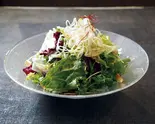 チョレギサラダ（俺の焼肉 銀座9丁目）