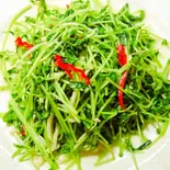 豆苗炒め(炒豆苗)（東京穆斯林飯店 ムスリム飯店）