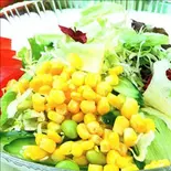 野菜サラダ（中華料理 旭園）