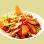 チキンサラダ(Chicken Salad)（SAKURA インド＆ネパール レストラン）