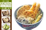 【ホクホク】5種のいろどり野菜天丼セット（【天丼】天晴(てんせい) 南浦和店）